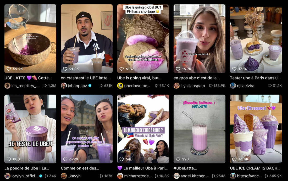 Photo de la page de recherche tiktok sur l'ube montrant plein de videos